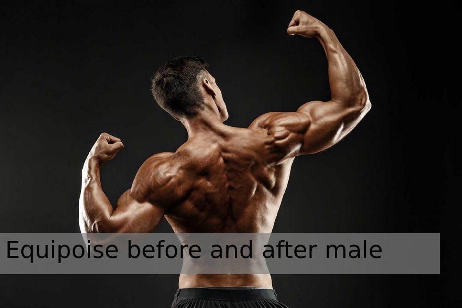 Equipoise before and after male