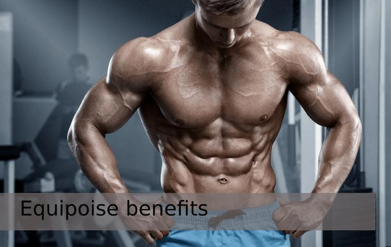 Equipoise Benefits Due to Which It Is Worth Choosing This Particular Steroid