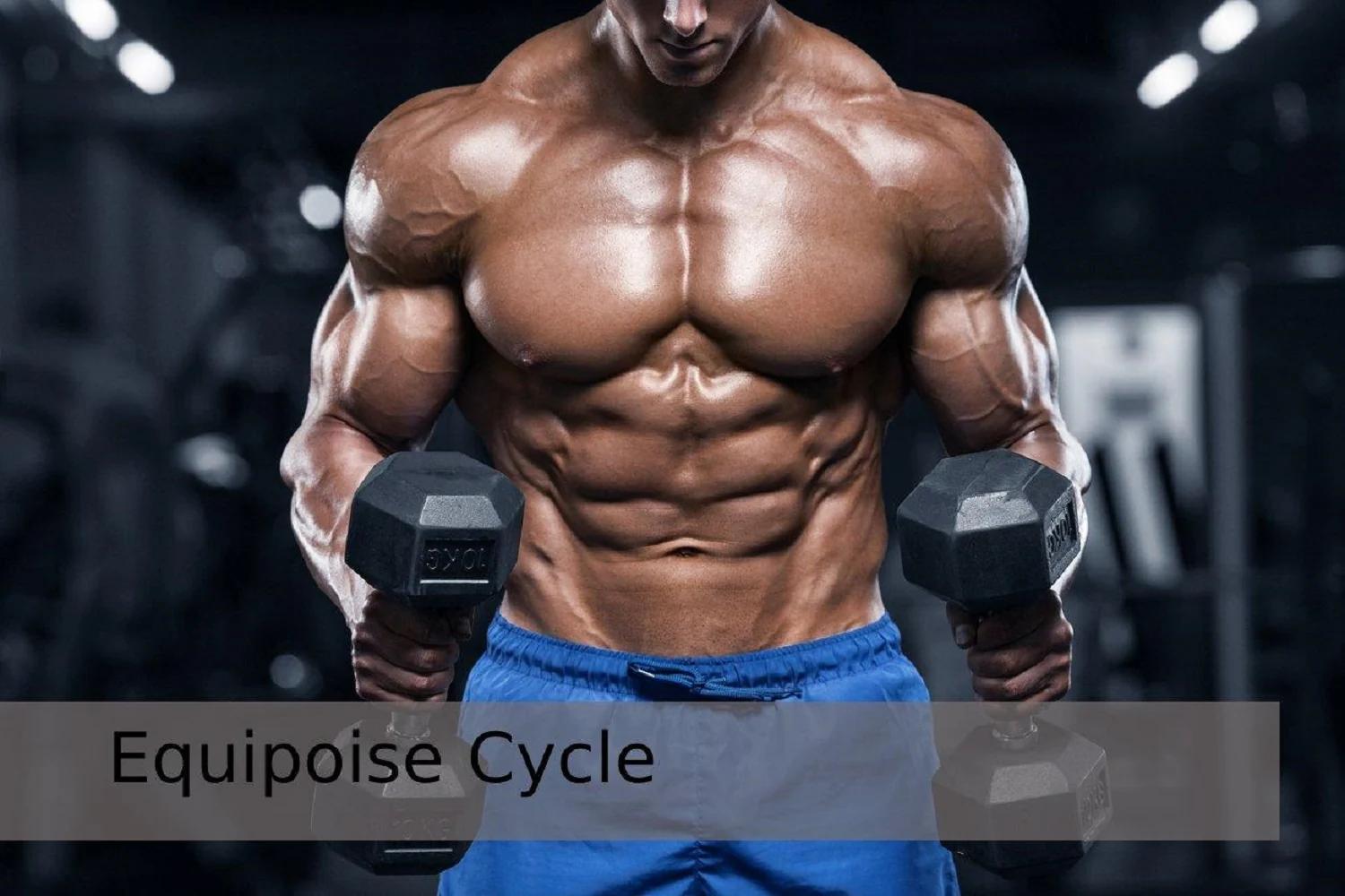 The Best Equipoise Cycle for Athletes