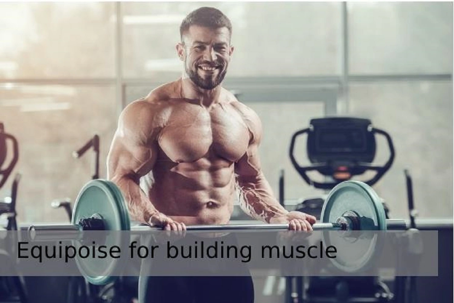 Equipoise for building muscle