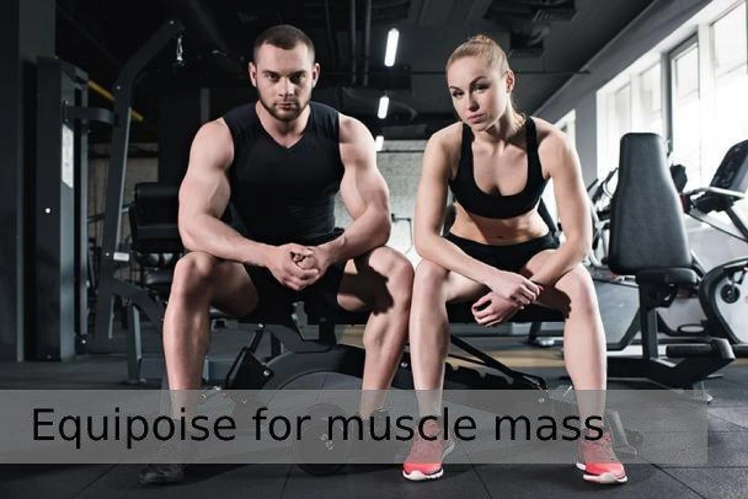 Equipoise for muscle mass