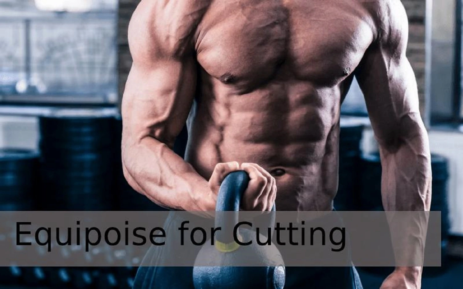 Equipoise for cutting